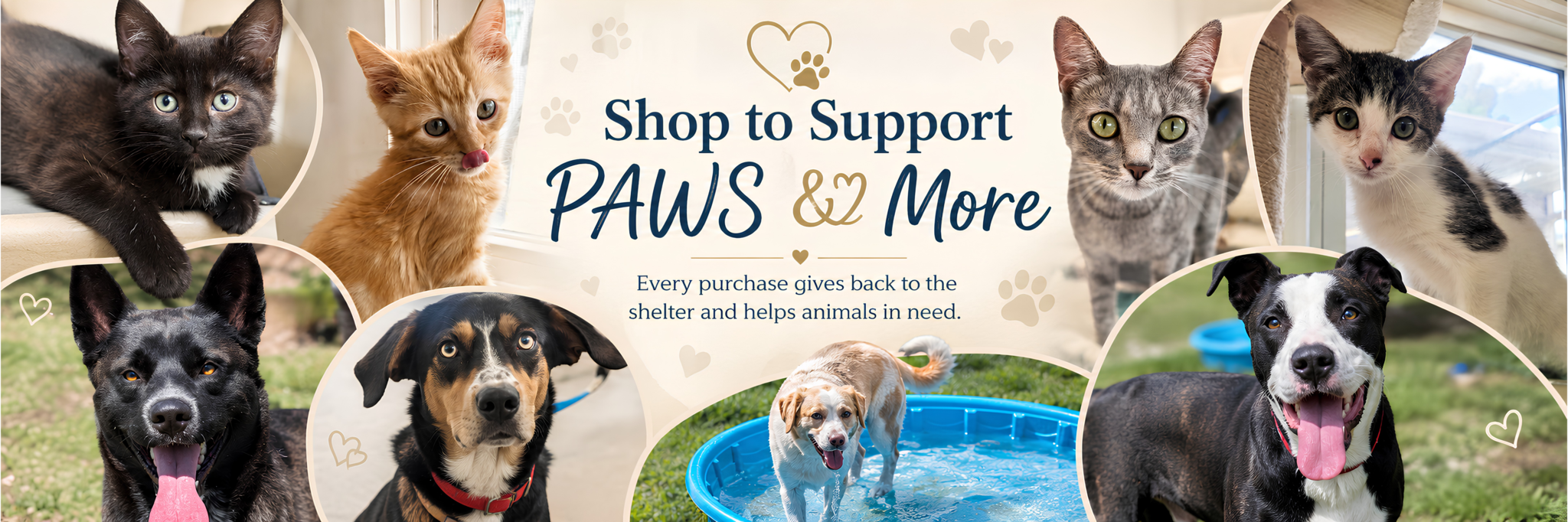 Paws & More Image Header