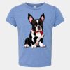 Toddler Triblend Tee Thumbnail