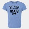 Toddler Triblend Tee Thumbnail
